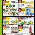 Antevisão Folheto PINGO DOCE lojas Grandes Promoções de 10 a 16 novembro